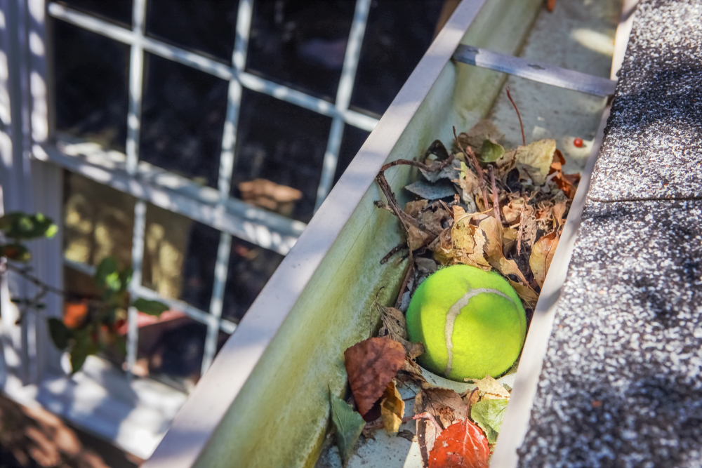 No Streaks Window & Roof Cleaning